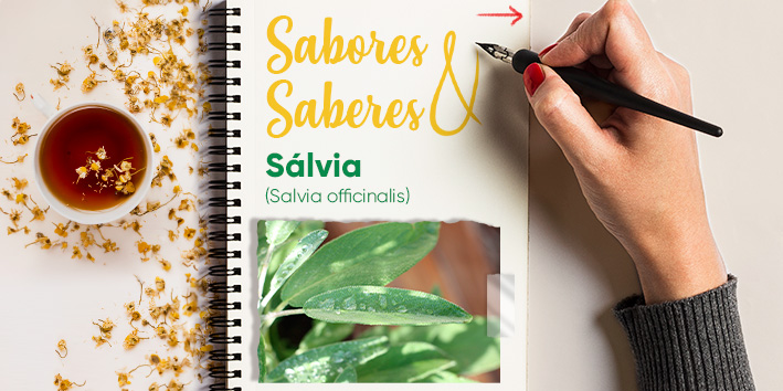Sabores e saberes: Slvia